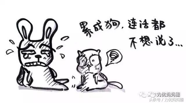 最合适亲子的邮轮游,邮轮游的优缺点