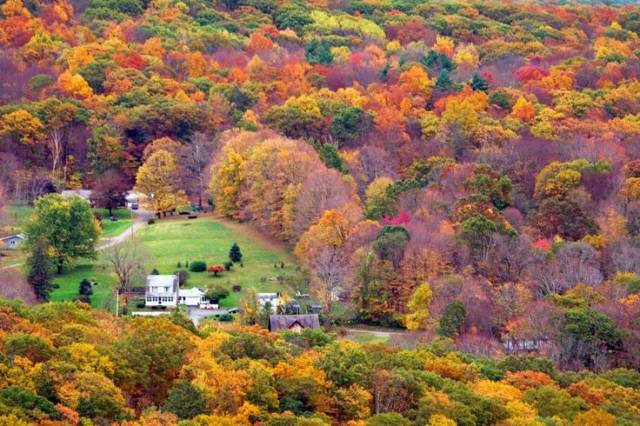 枫叶旅游拍照技巧,春季赏枫叶拍照技巧