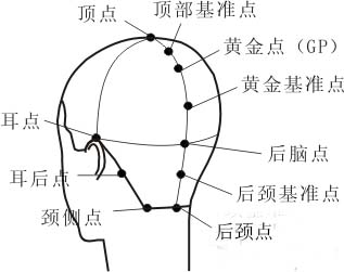 修剪发尖教程,三角梅修剪方法和技巧