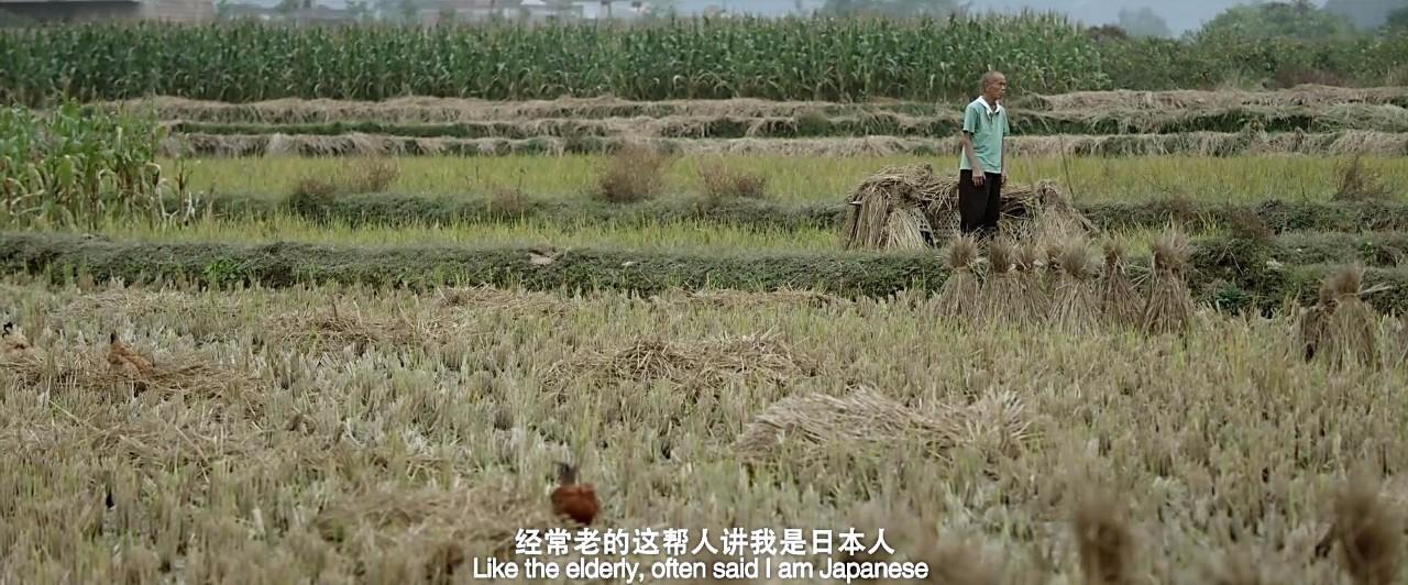 冯小刚吴京爱国电影,吴京舒淇郭富城演的电影