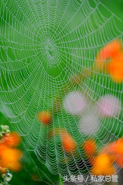 爱一个人陷于才华忠于人品,爱一个人始于颜值敬于爱情