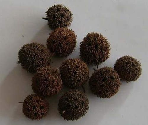 农村少见到的稀奇物品,农村不起眼的土特产