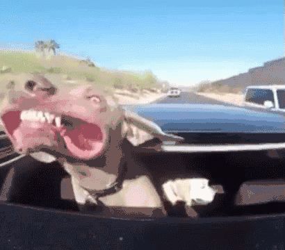 留学生回国能够免税买什么车,留学生回国免税车能够便宜多少钱