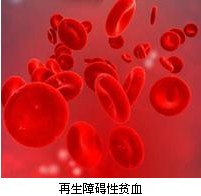 史淑荣治过敏性紫癜靠谱吗,史淑荣治疗血友病怎么样