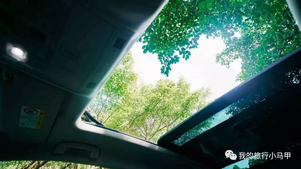 珠海长隆野生动物园旅游攻略,广州长隆自驾游旅游攻略