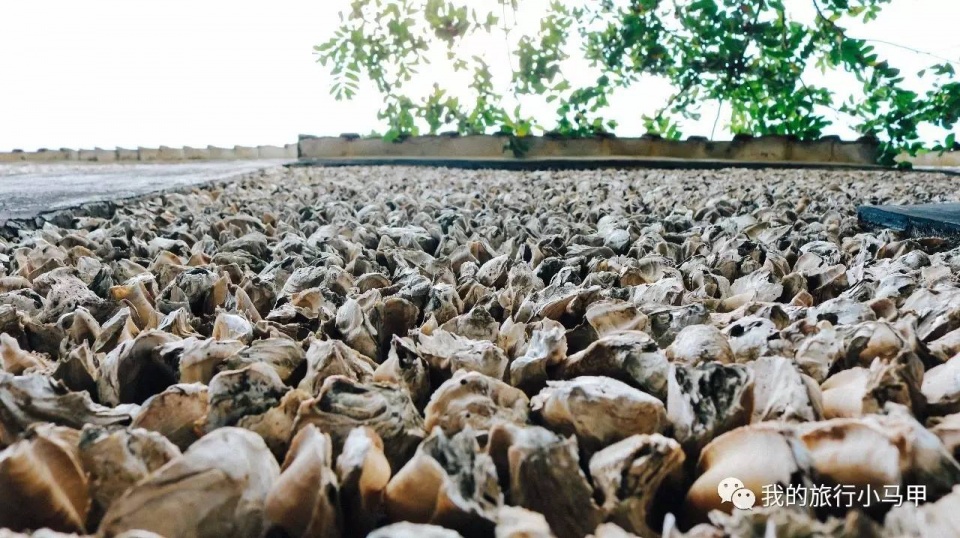 珠海长隆野生动物园旅游攻略,广州长隆自驾游旅游攻略