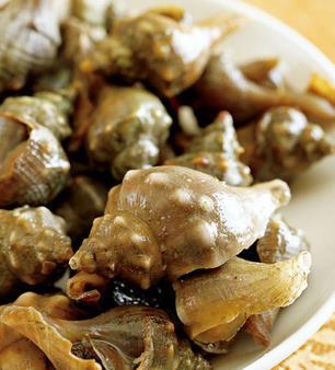 厦门人为什么不吃罗非鱼,厦门哪些海螺不能吃