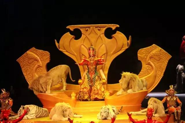 长隆半价|细数长隆里的女神之演员篇