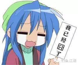 江湖骗局大曝光,江湖揭秘全部视频