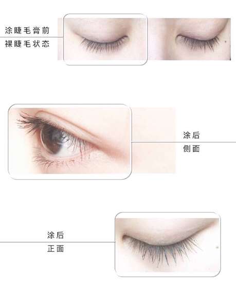 关于好用的睫毛膏知识,关于睫毛膏你需要知道的一切