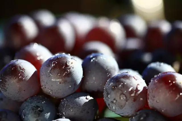 父母供自己读书花光了所有积蓄,父母花光积蓄送女儿留学