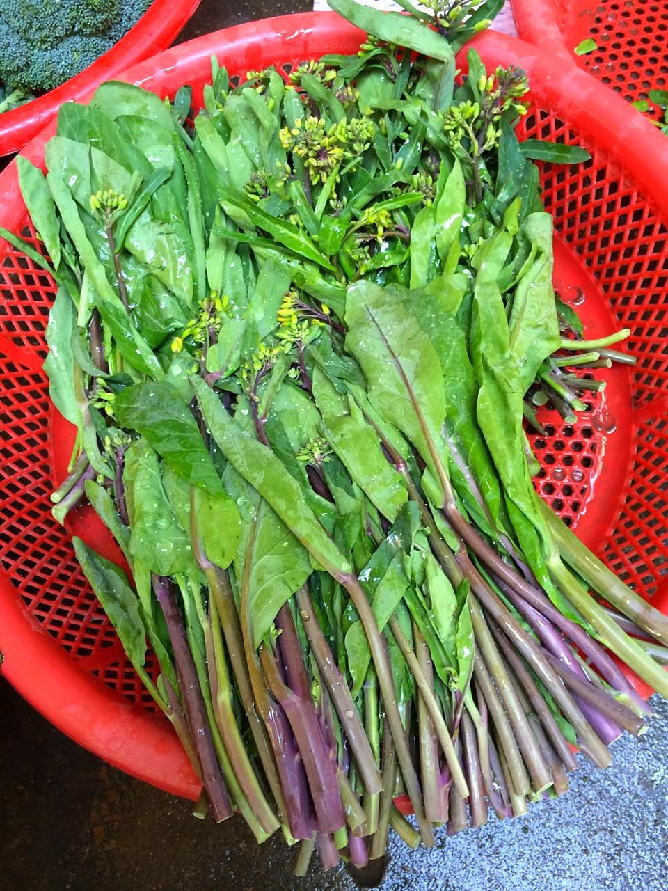 唐朝人为什么要将鲳鱼称为“狗瞌睡鱼”？六种鲳鱼你认识几种？