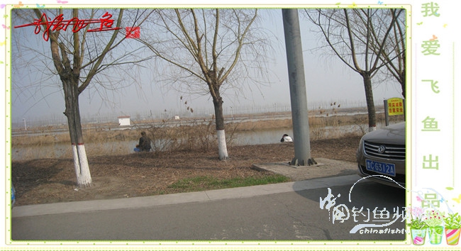 2016之我爱飞鱼觅得好钓点