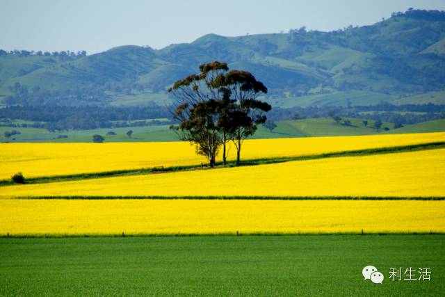 ppt技巧揭秘这些功能您会使用了吗,ppt附加文件