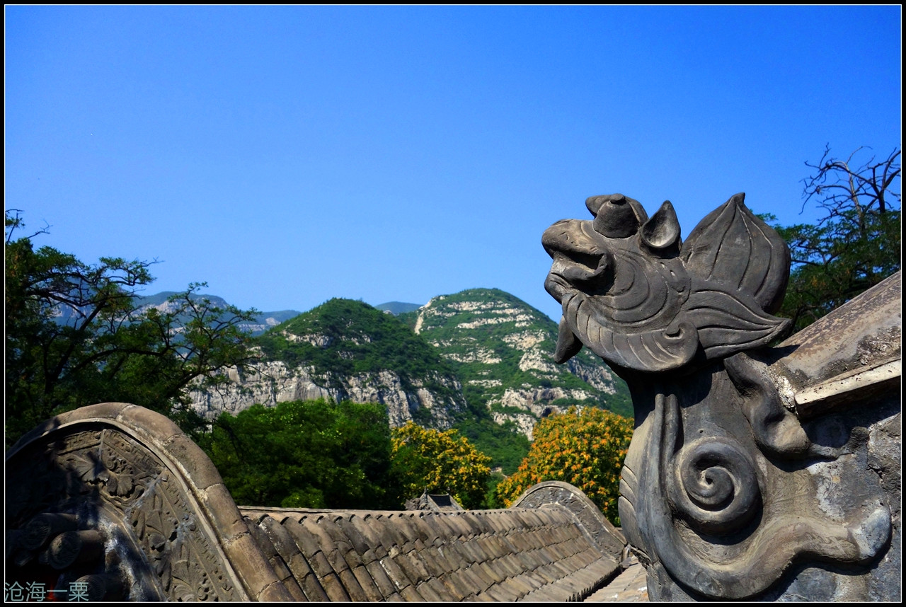 涨姿势：与晋祠齐名的窦大夫祠这几幅元代团龙雕的可真不错！