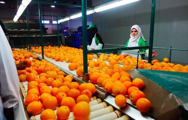 父母供自己读书花光了所有积蓄,父母花光积蓄送女儿留学