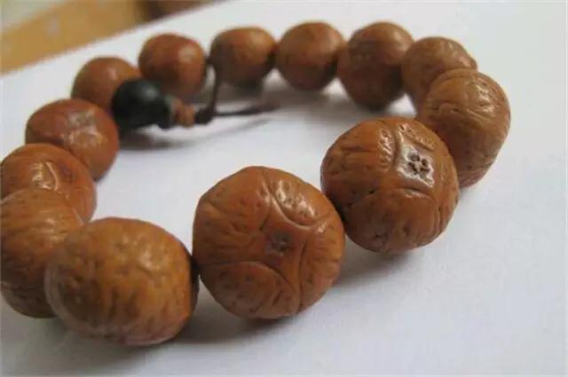 凤眼兄弟,凤眼菩提的兄弟姐妹们都是谁