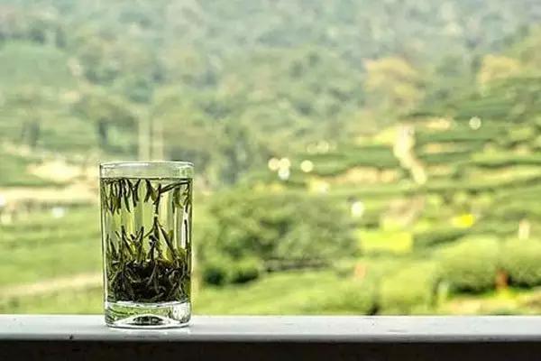 喝龙井茶的境界,最佳喝龙井茶的时间是