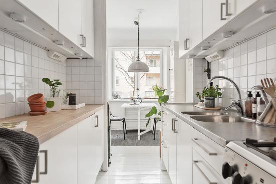 除新房异味用什么植物,新房里有异味的植物