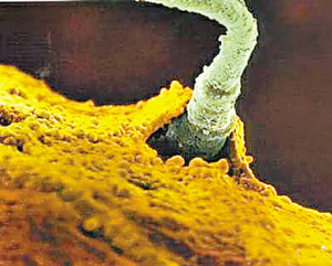 想要二胎怀不上？3个技巧帮帮你