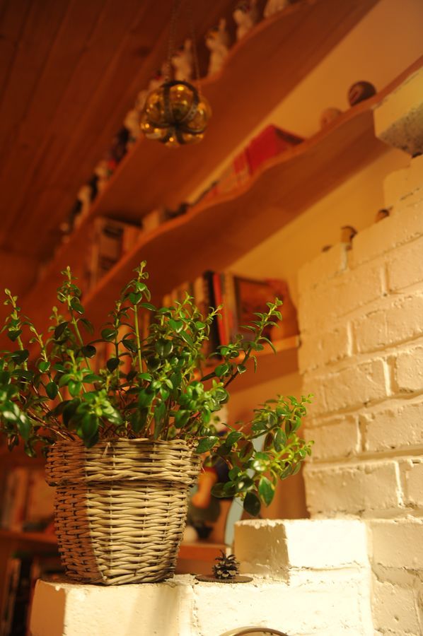 臣妾的50平装出豪宅的感觉（评论留QQ送流水账）