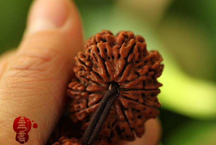 金刚菩提造假 (金刚菩提都用什么造假)