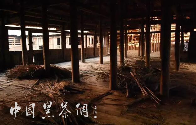 世博茶叶,中国十大世博名茶