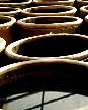 一次祛斑告捷的经验,十年祛斑经验分享