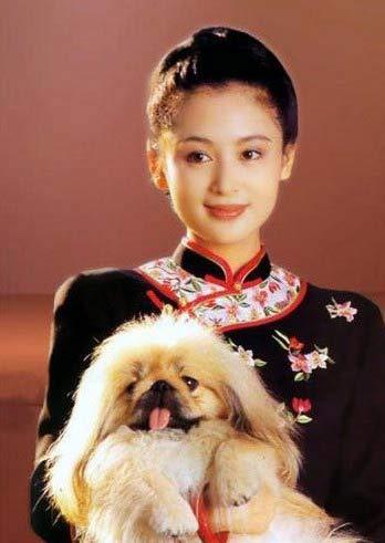 刘诗诗妈妈引领旗袍风，盘点最美女星旗袍造型