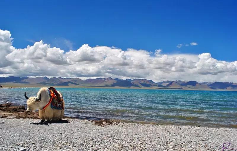 不要动不动就说要回家过年,不要动不动就说离家出走