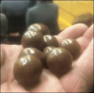 你们什么都没看见,你们怎么什么都没看见呢