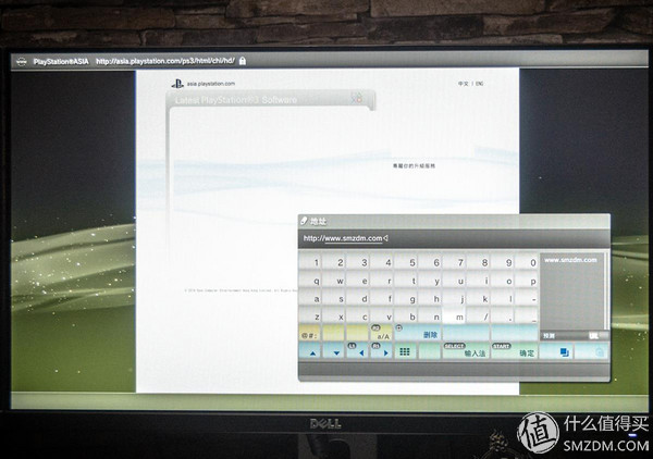 老树发新芽完全视频,老树发新枝技术视频