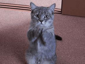 十大不值得入手的化妆水,不好用的护肤品推荐