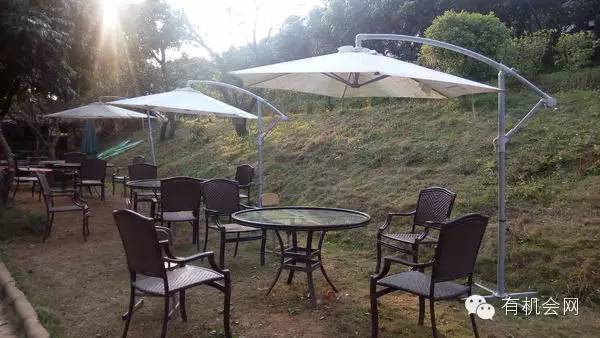 疗愈人的慧灵农场：一群很简单的人，在这里快乐、自在地生活