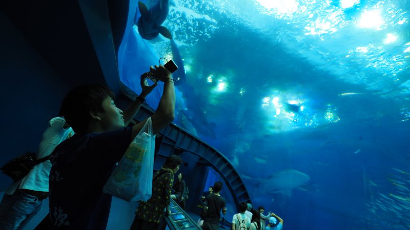 奥林巴斯相机镜头参数,奥林巴斯penf实拍样张