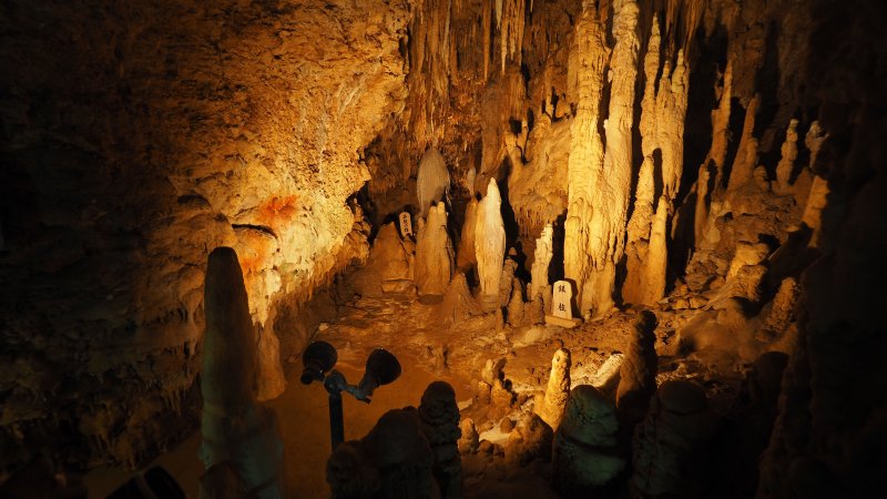 奥林巴斯相机镜头参数,奥林巴斯penf实拍样张