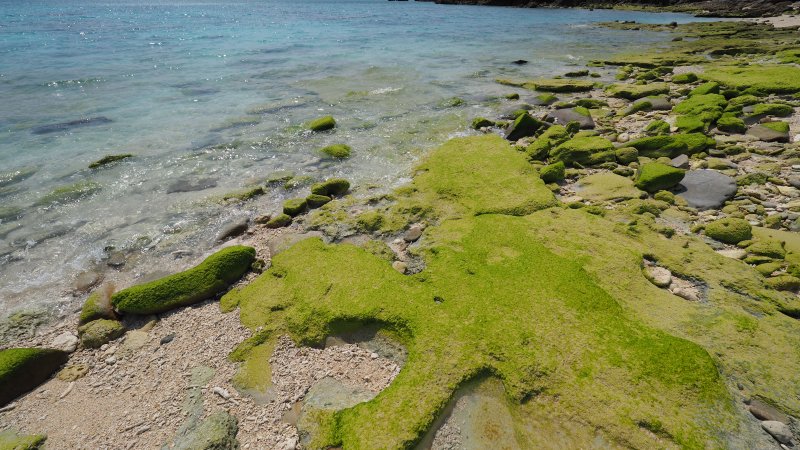 奥林巴斯相机镜头参数,奥林巴斯penf实拍样张