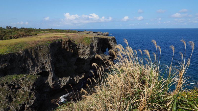 奥林巴斯相机镜头参数,奥林巴斯penf实拍样张