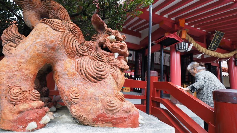 奥林巴斯相机镜头参数,奥林巴斯penf实拍样张