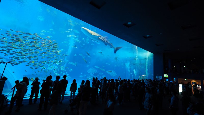 奥林巴斯相机镜头参数,奥林巴斯penf实拍样张