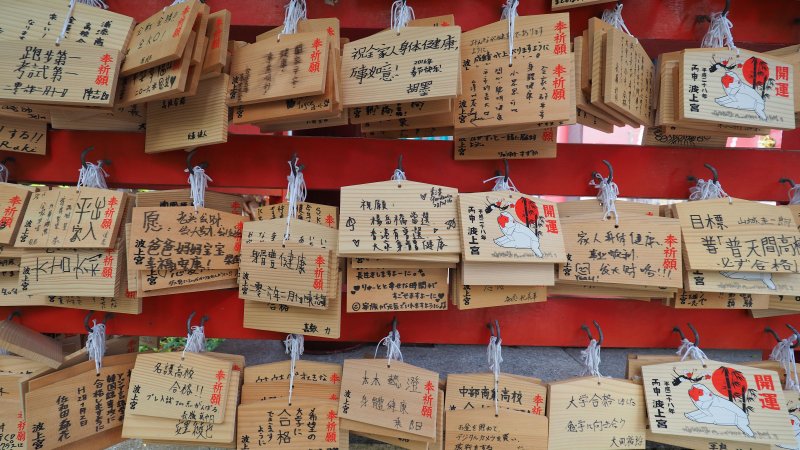 奥林巴斯相机镜头参数,奥林巴斯penf实拍样张