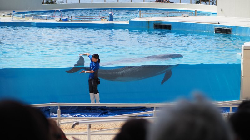 奥林巴斯相机镜头参数,奥林巴斯penf实拍样张