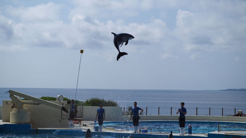 奥林巴斯相机镜头参数,奥林巴斯penf实拍样张