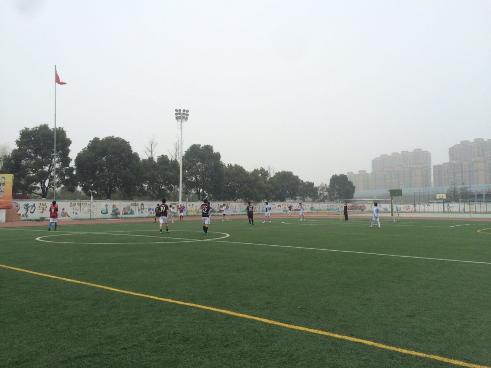 战队打比赛输了,米兰对战阿根廷