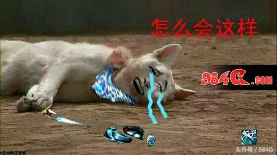 dnf还能开出复活币吗,dnf能够给队友复活币吗