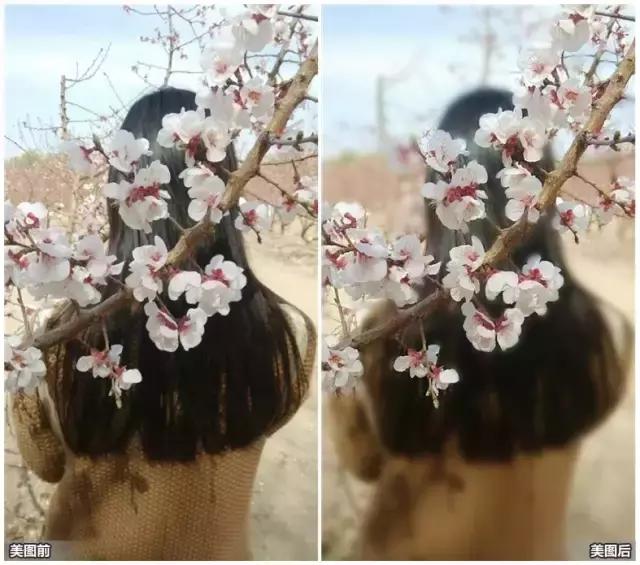 技巧：难得“糊”图，看不清楚也动人