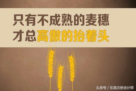 都在会计行业，但我有资格鄙视你！