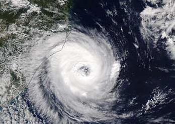 三个锦囊防骗指南,干货满满台风小知识普及