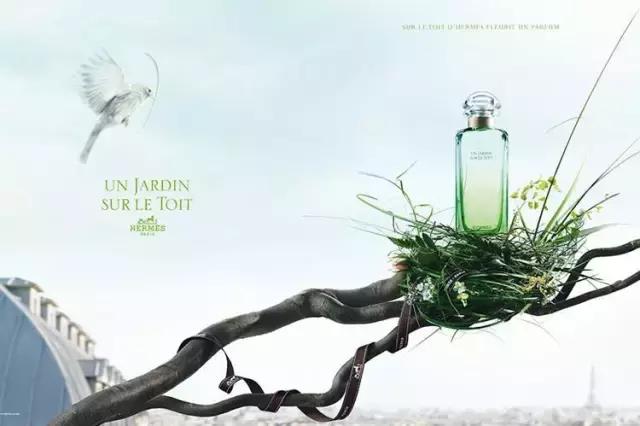 七夕最强约会指南,七夕最强表白方法