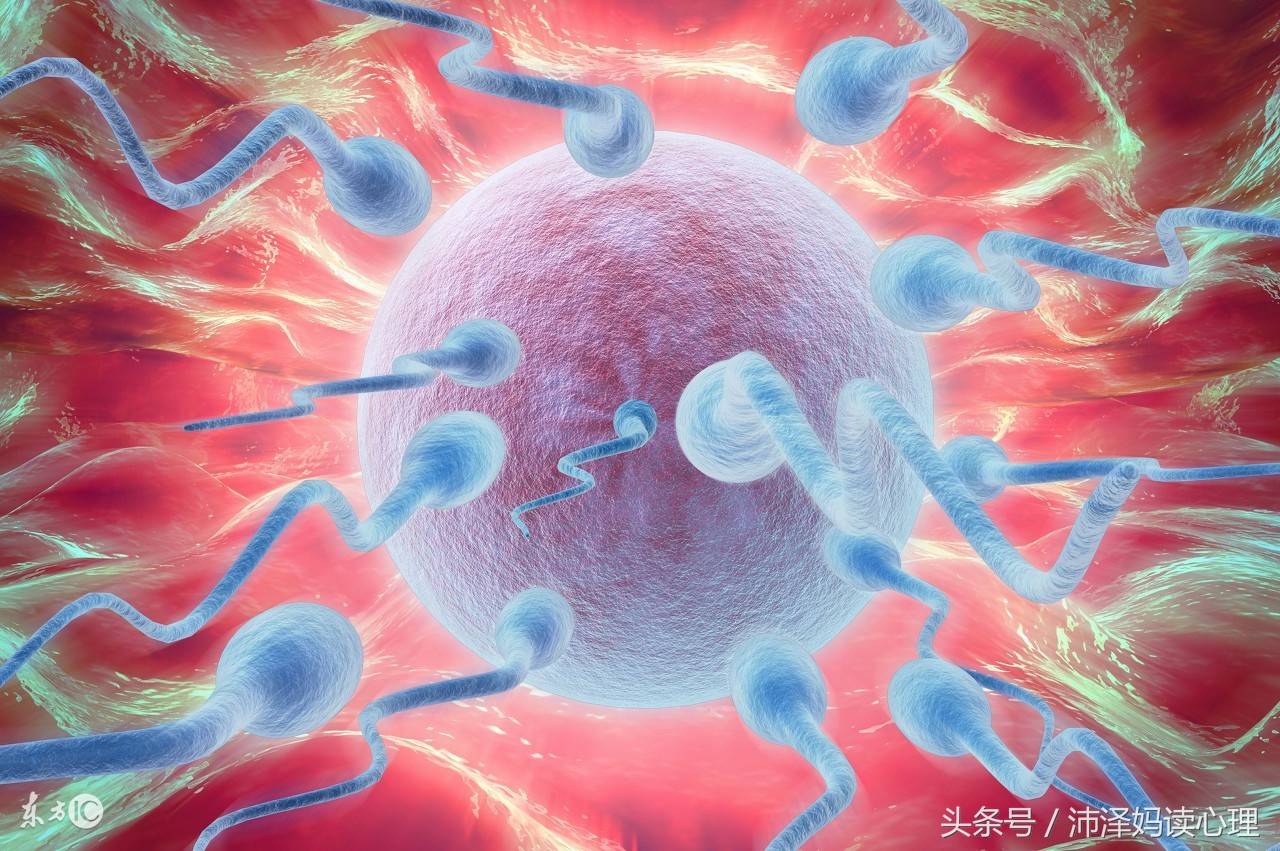 按排卵期备孕告捷率,算好排卵期轻松备孕